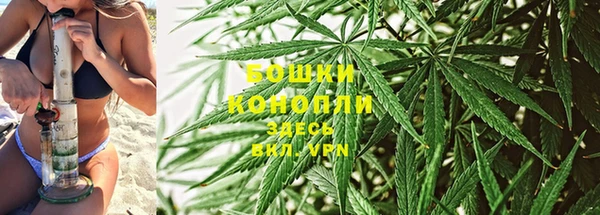 ГАЛЛЮЦИНОГЕННЫЕ ГРИБЫ Покровск
