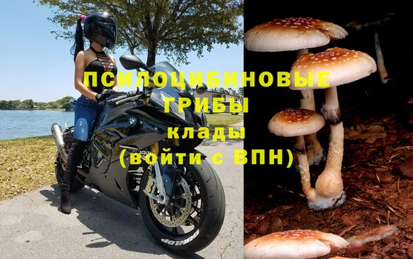 а пвп мука Армянск